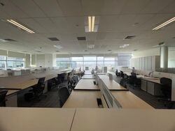 Mapletree Business City (D5), Office #544157501